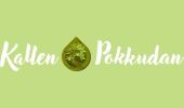 Web Designing Company Kottayam Kerala India, Best Web Designing Agency In Kerala Kottayam India  