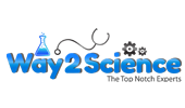 Web Designing Company Kottayam Kerala India, Best Web Designing Agency In Kerala Kottayam India  